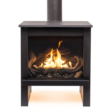 True North TN24 25" Direct Vent Gas Stove