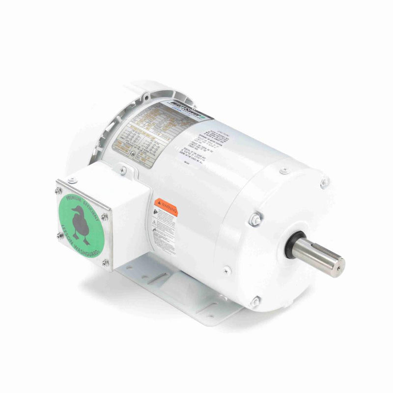 LEESON 121865.00 White Epoxy Washdown Electric Motor