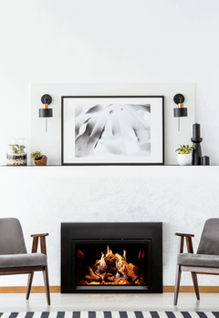 Empire Rainier Premium Direct Vent Gas Fireplace Insert