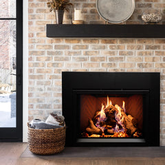 Empire Rainier Premium Direct Vent Gas Fireplace Insert