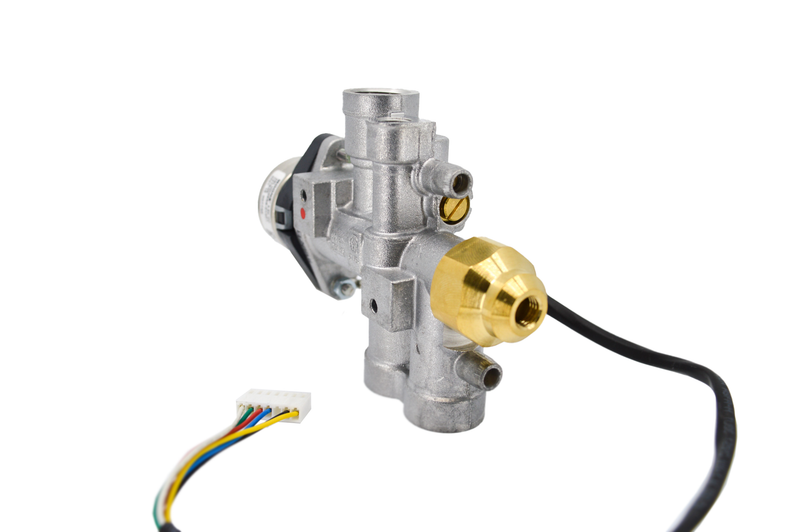 Ecoflow Valve Assembly Propane - Additional View