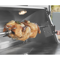 Twin Eagles 30" Natural Gas Grill with 2 Burners and Infrared Rotisserie on Deluxe Base - Fireplace Choice