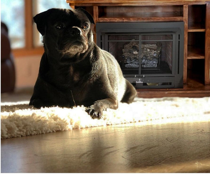 Buck Stove Model 34 Manhattan Vent Free Gas Stove - Fireplace Choice